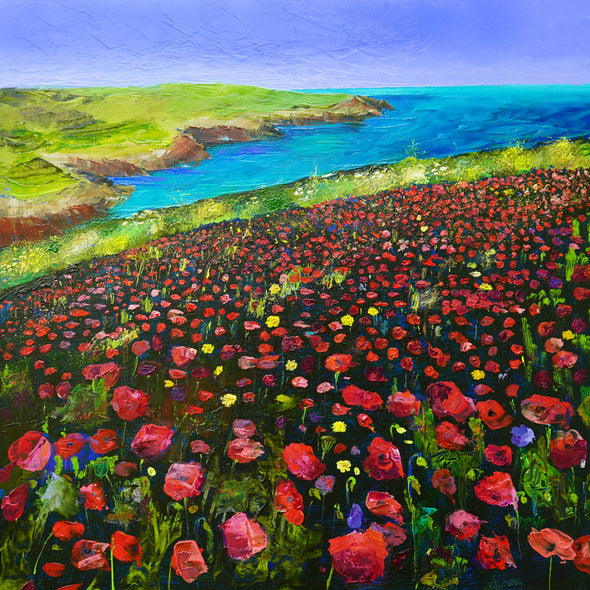 Poly joke poppies, West Pentire