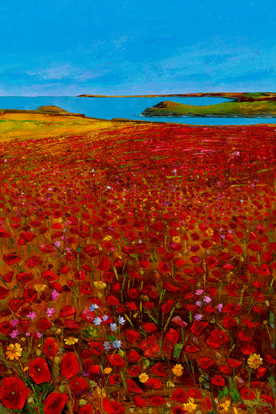 Scarlet Poppies of Poly Joke, West Pentire, Cornwall, Original Oil Painting