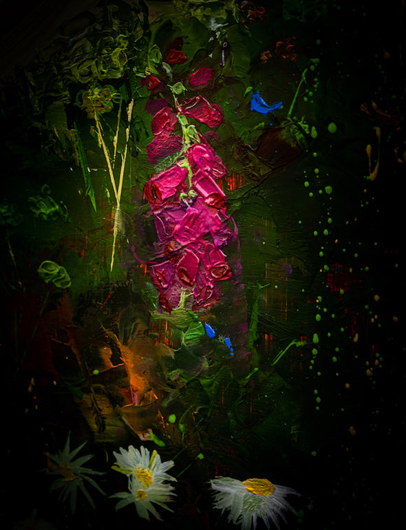 Foxglove, Cornwall Art Greeting Card by Sarah Eddy